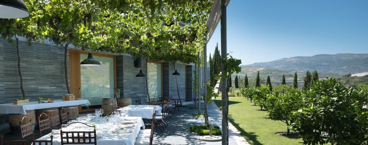 Quinta do Vallado – Prova Vinhos do Porto