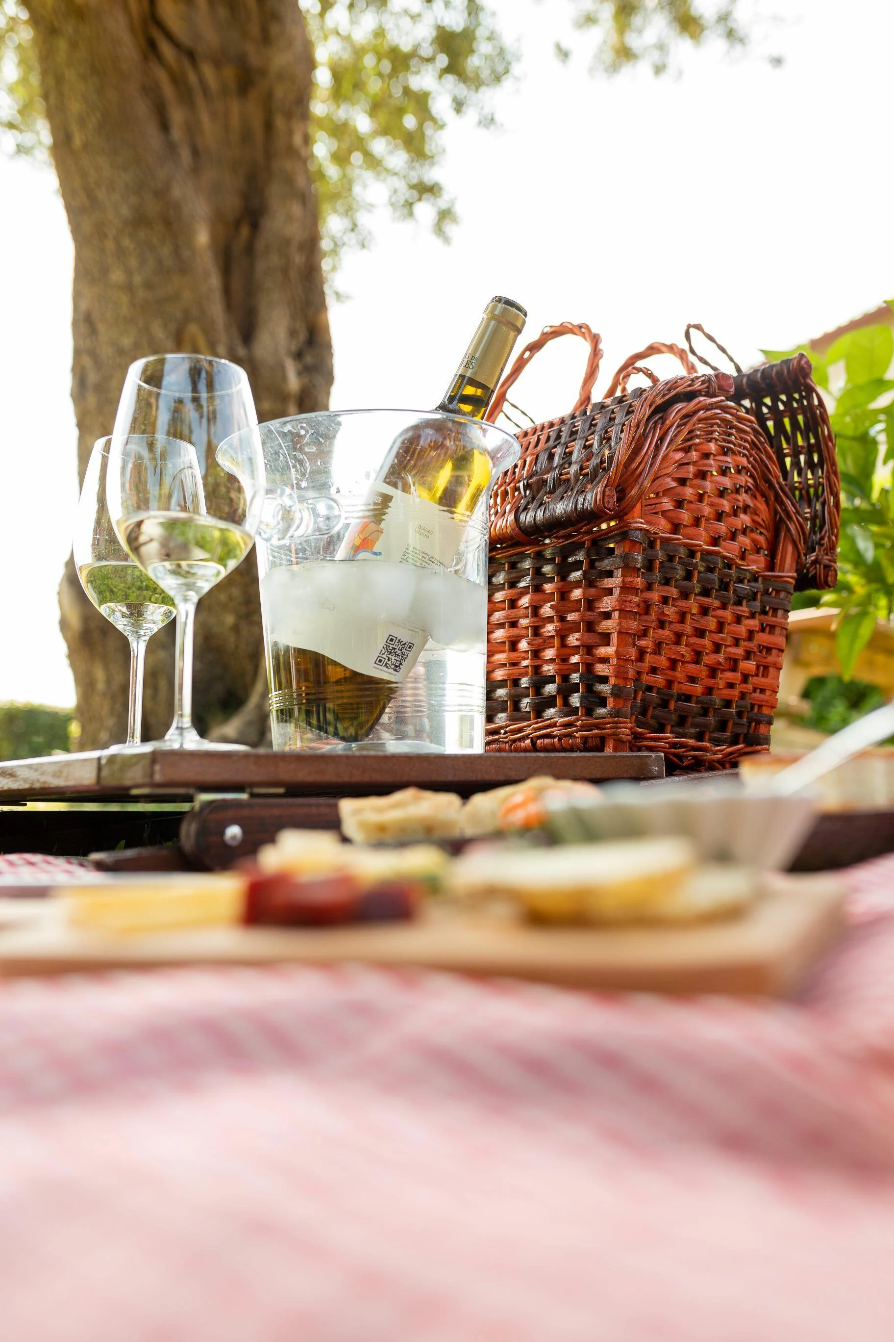 Casa Lata – Piquenique Vínico