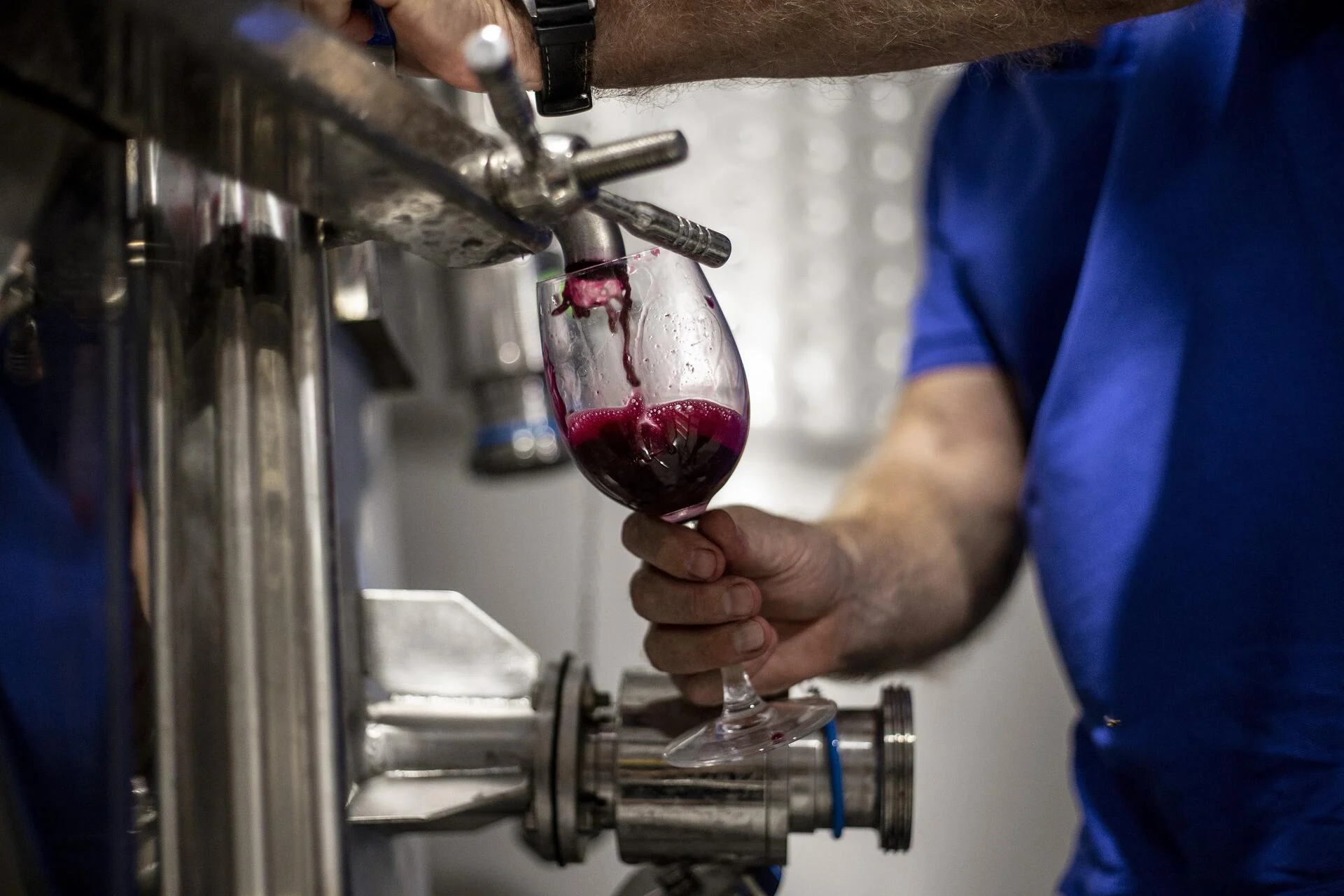 Howard’s Folly – Prova de Vinhos Brancos