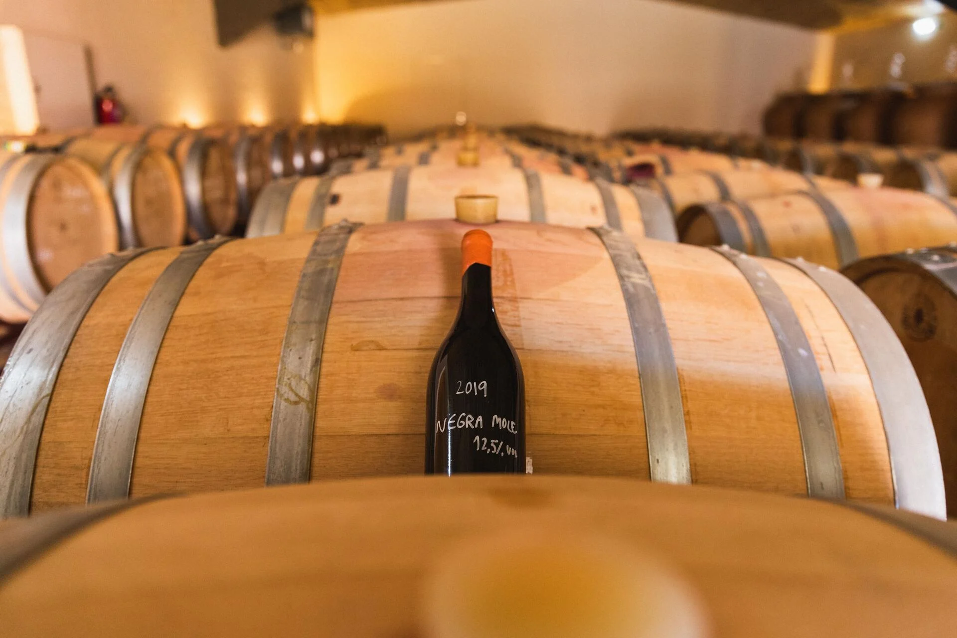 Arvad Wine – Visita & Prova da Palavra