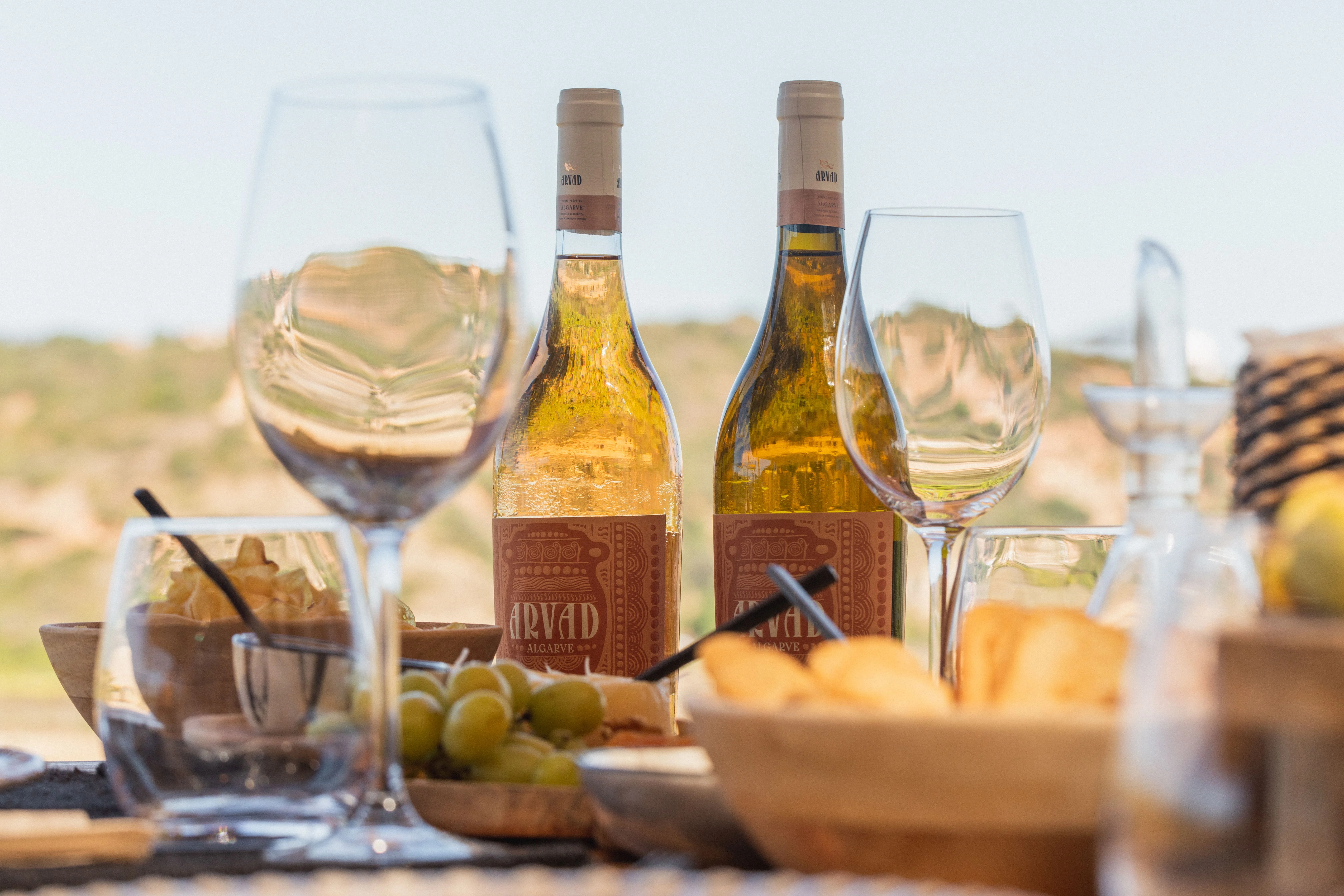 Arvad Wine – Visita & Prova da Descoberta