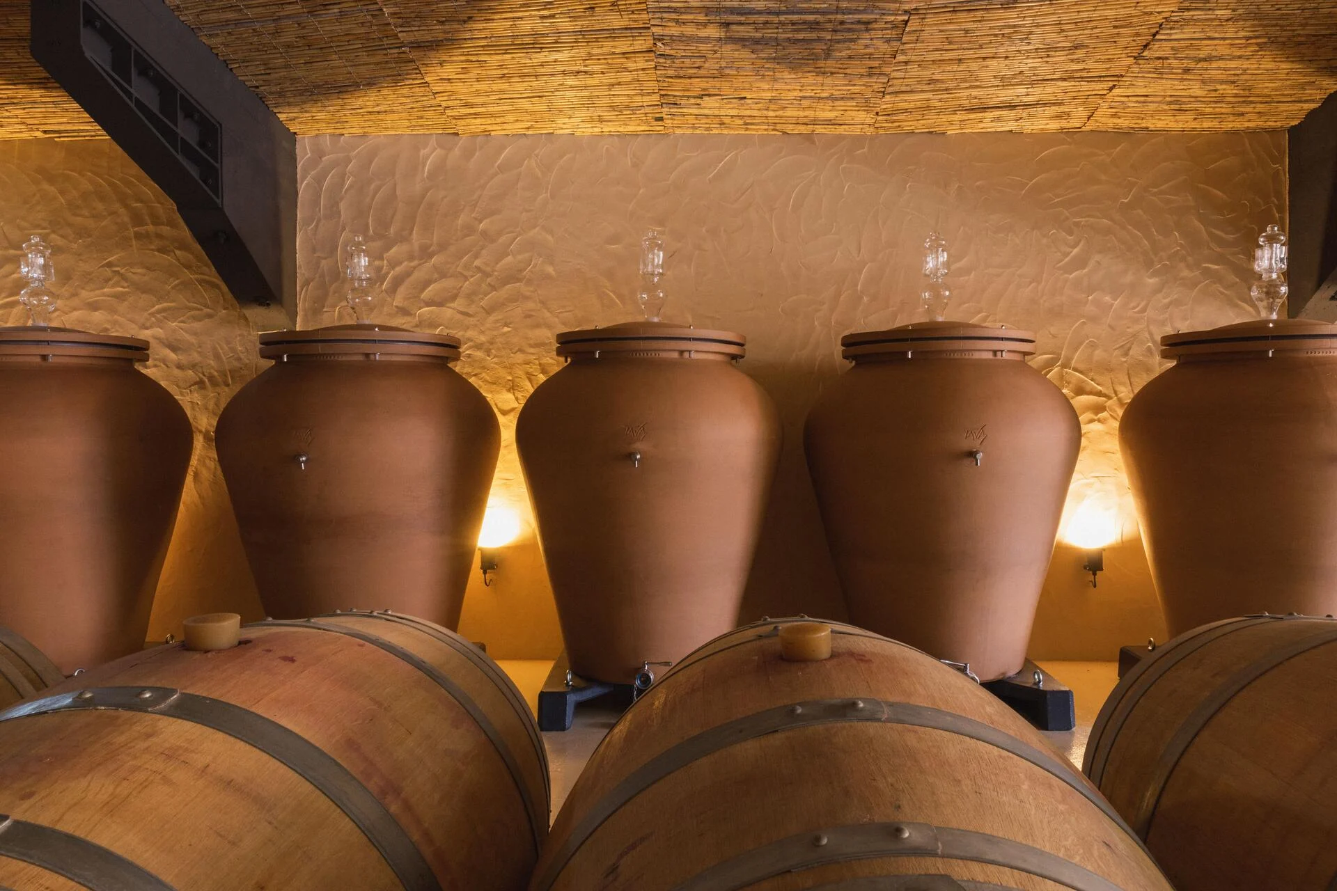 Arvad Wine – Visita & Prova da Descoberta