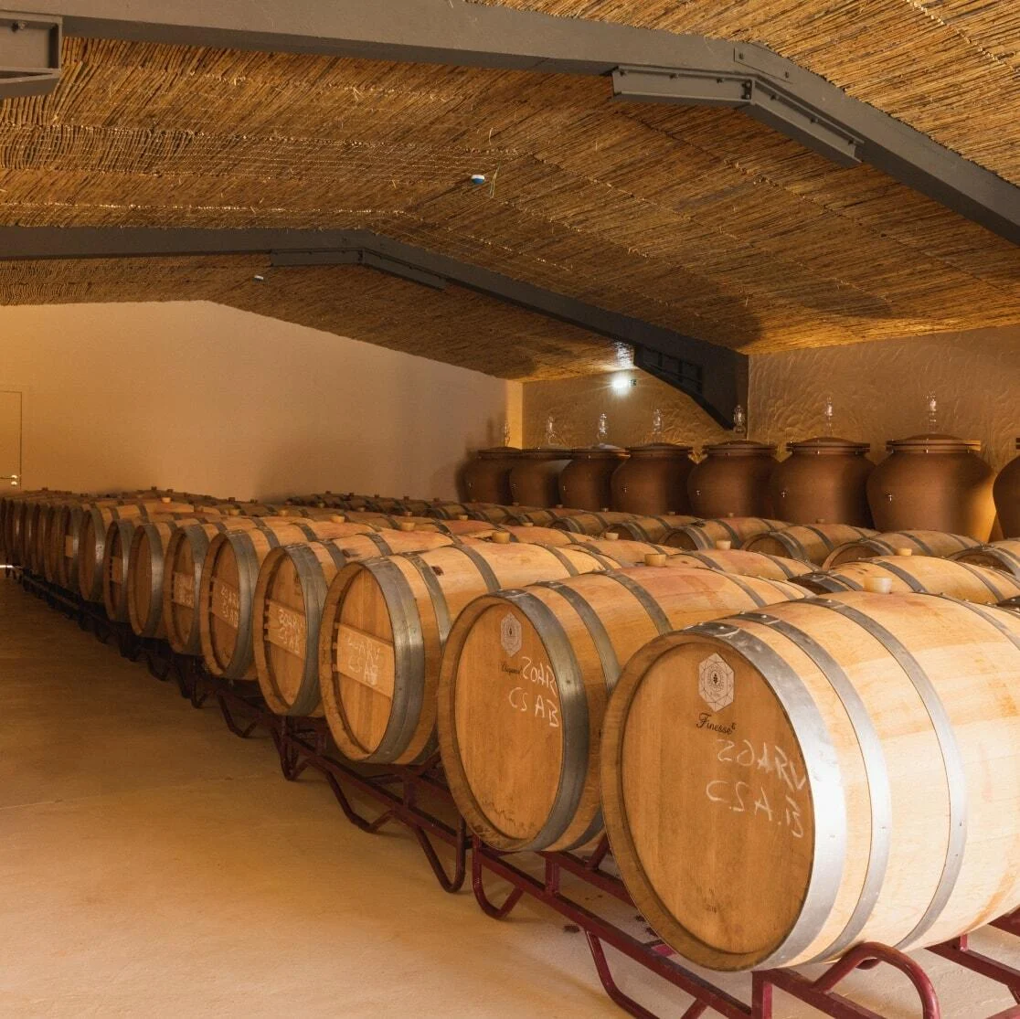 Arvad Wine – Visita & Prova da Troca