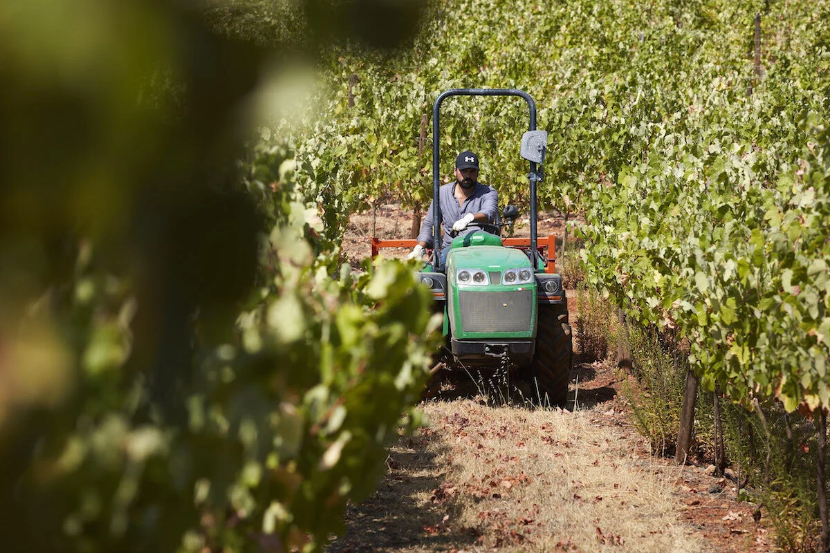 Quinta dos Sentidos – Visita & Prova Privada