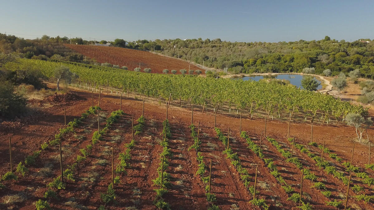 Quinta dos Sentidos – Visita & Prova Privada