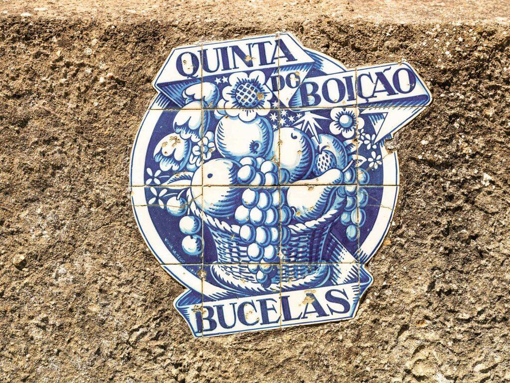 Quinta do Boição – Experiência de Poda