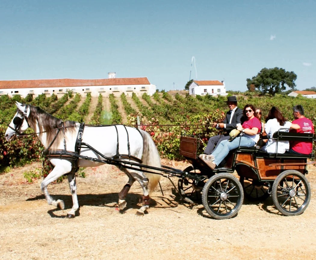 Quinta São João Batista – Passeio de Charrete