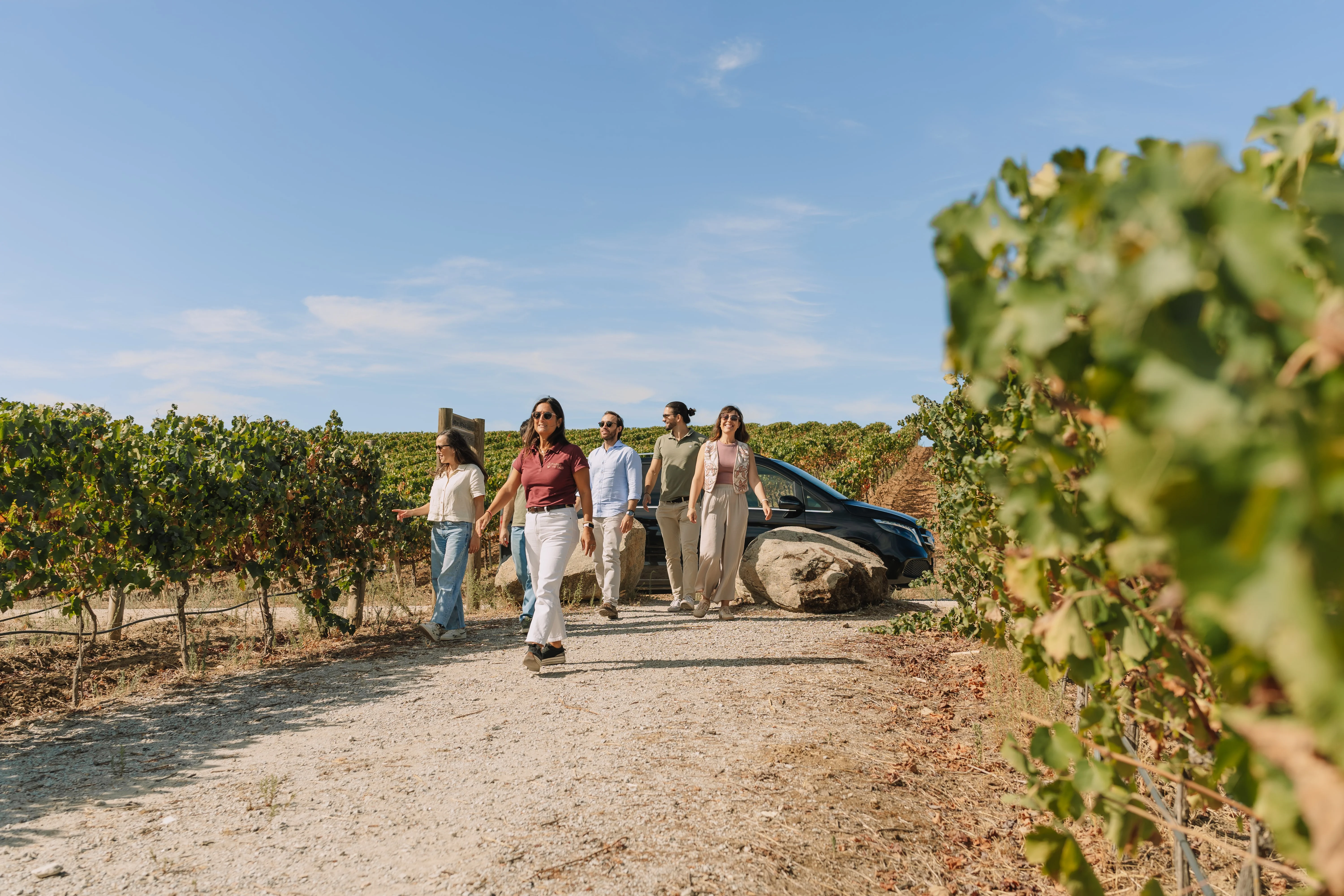 Wine Tour Alentejo – Dia Inteiro
