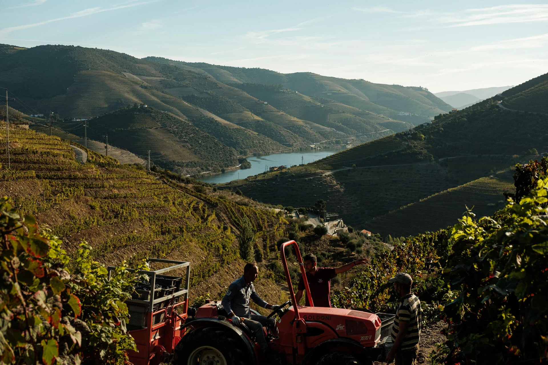 Quinta do Val Moreira – Atividade de Vindimas