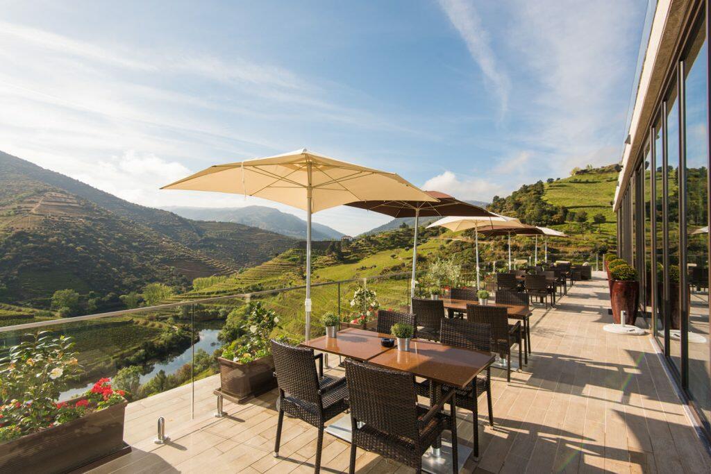 Quinta do Val Moreira – Atividade de Vindimas