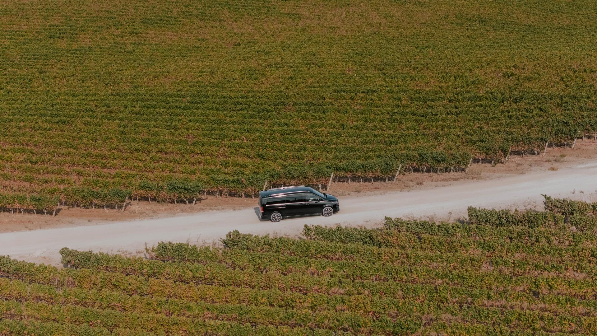 Wine Tour Alentejo – Meio Dia