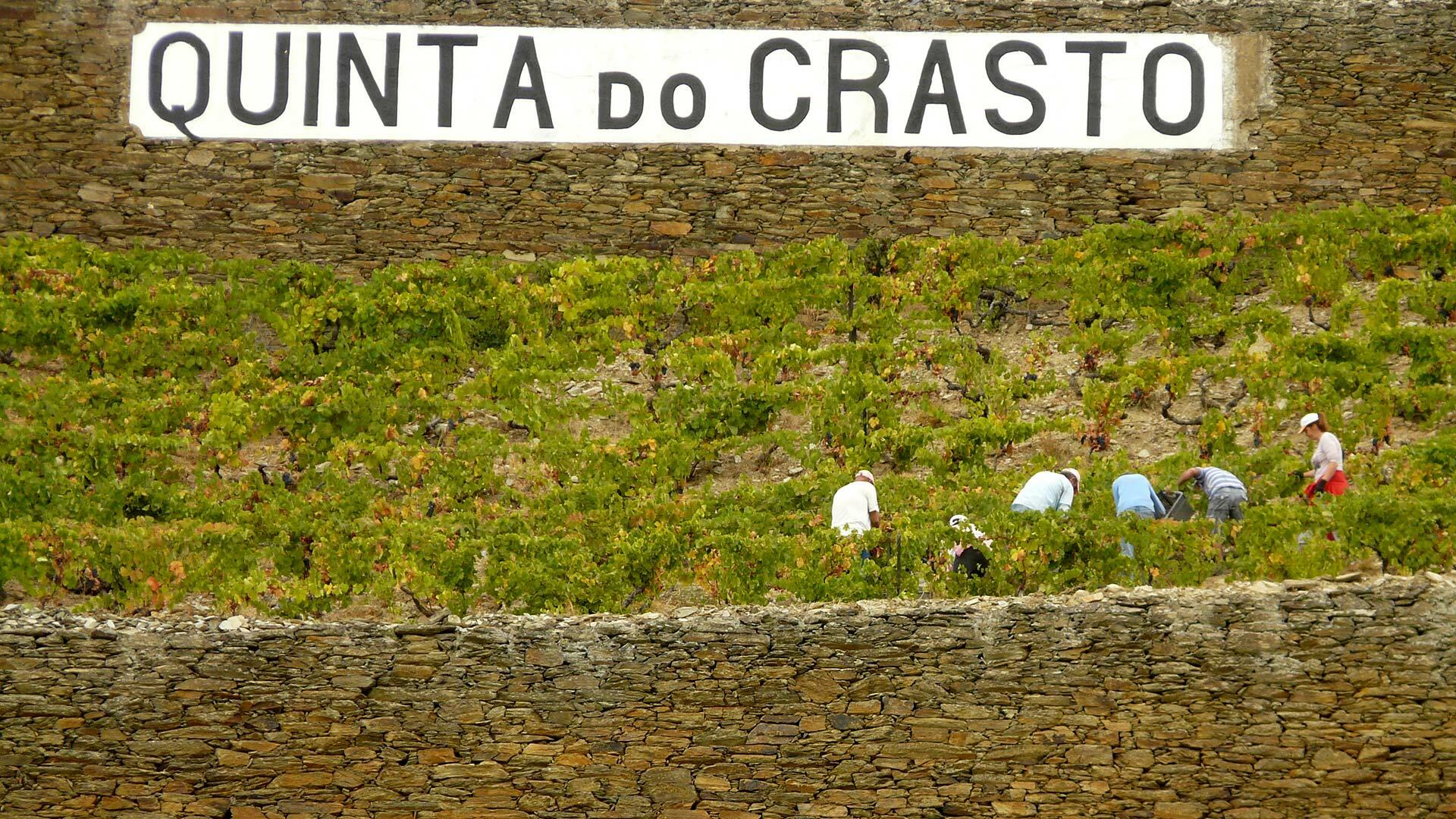 Quinta do Crasto – Visita & Prova de 5 Vinhos