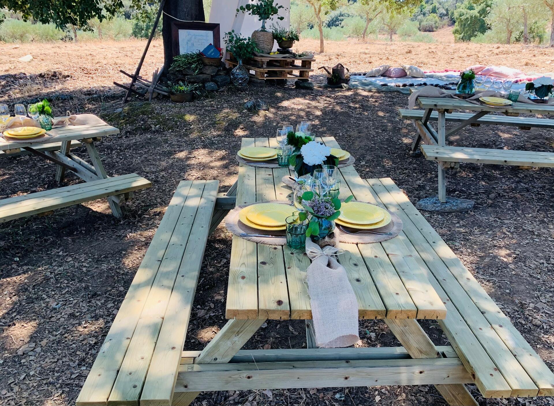 Quinta da Vineadouro – Passeio & Piquenique