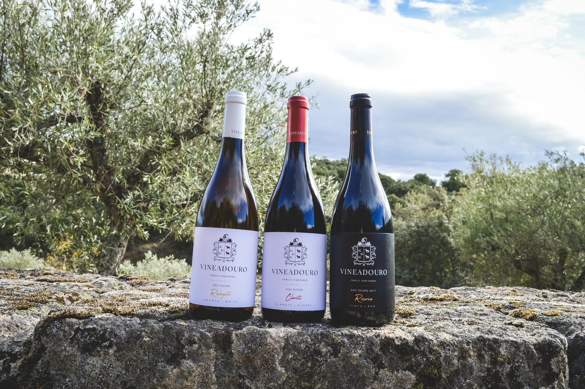 Quinta da Vineadouro – Prova de Vinhos & Almoço