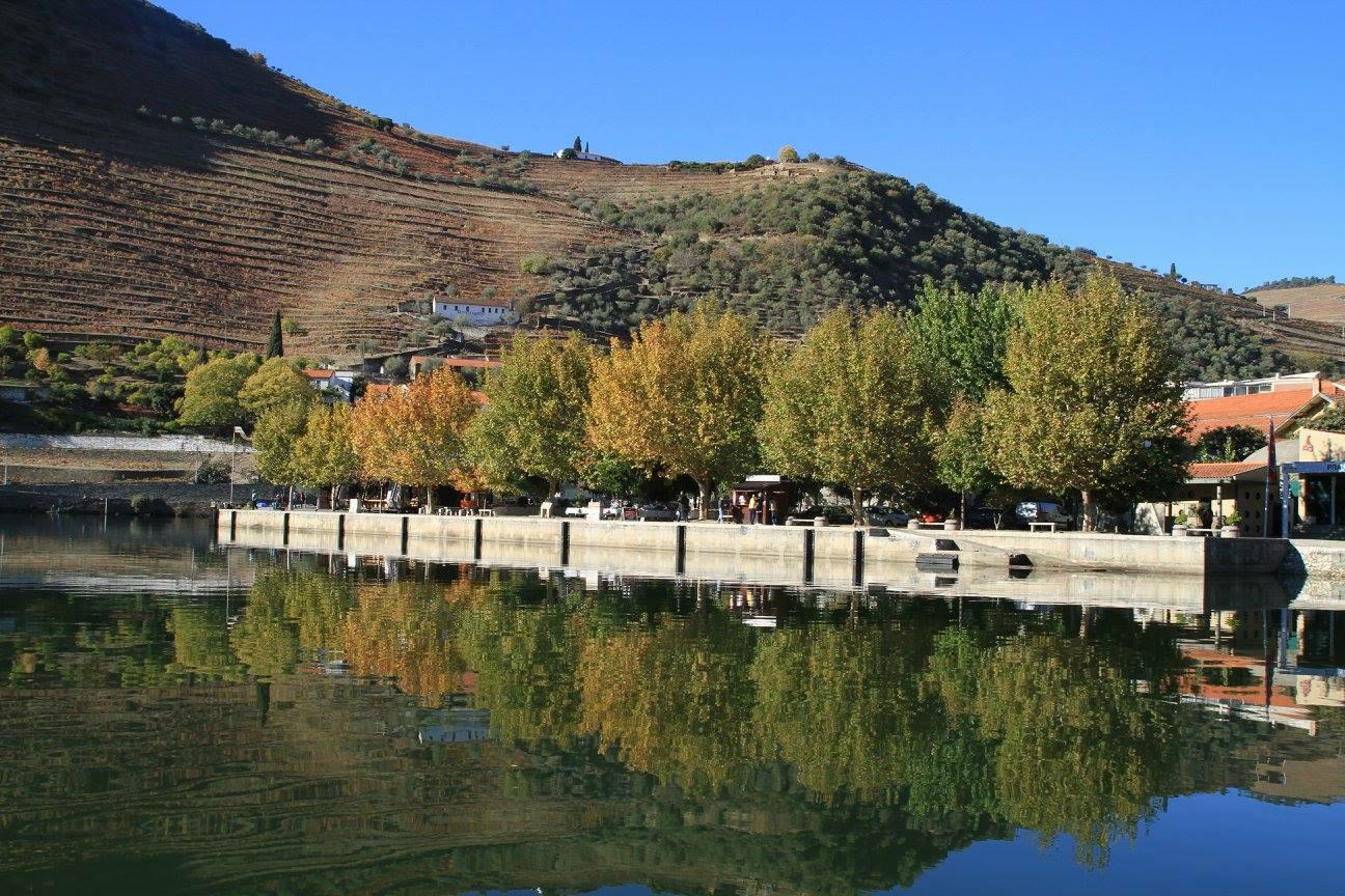 Um Dia no Douro