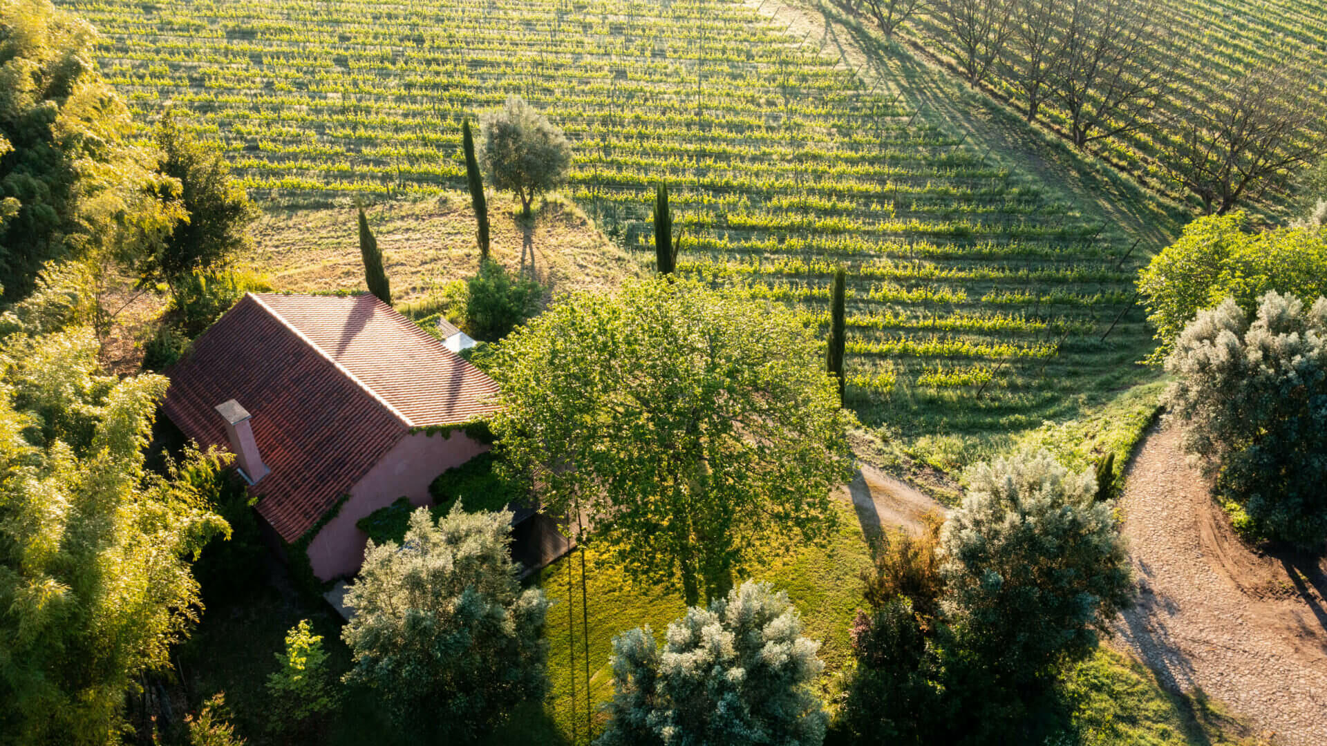 Tour Privado Vinhos Verdes