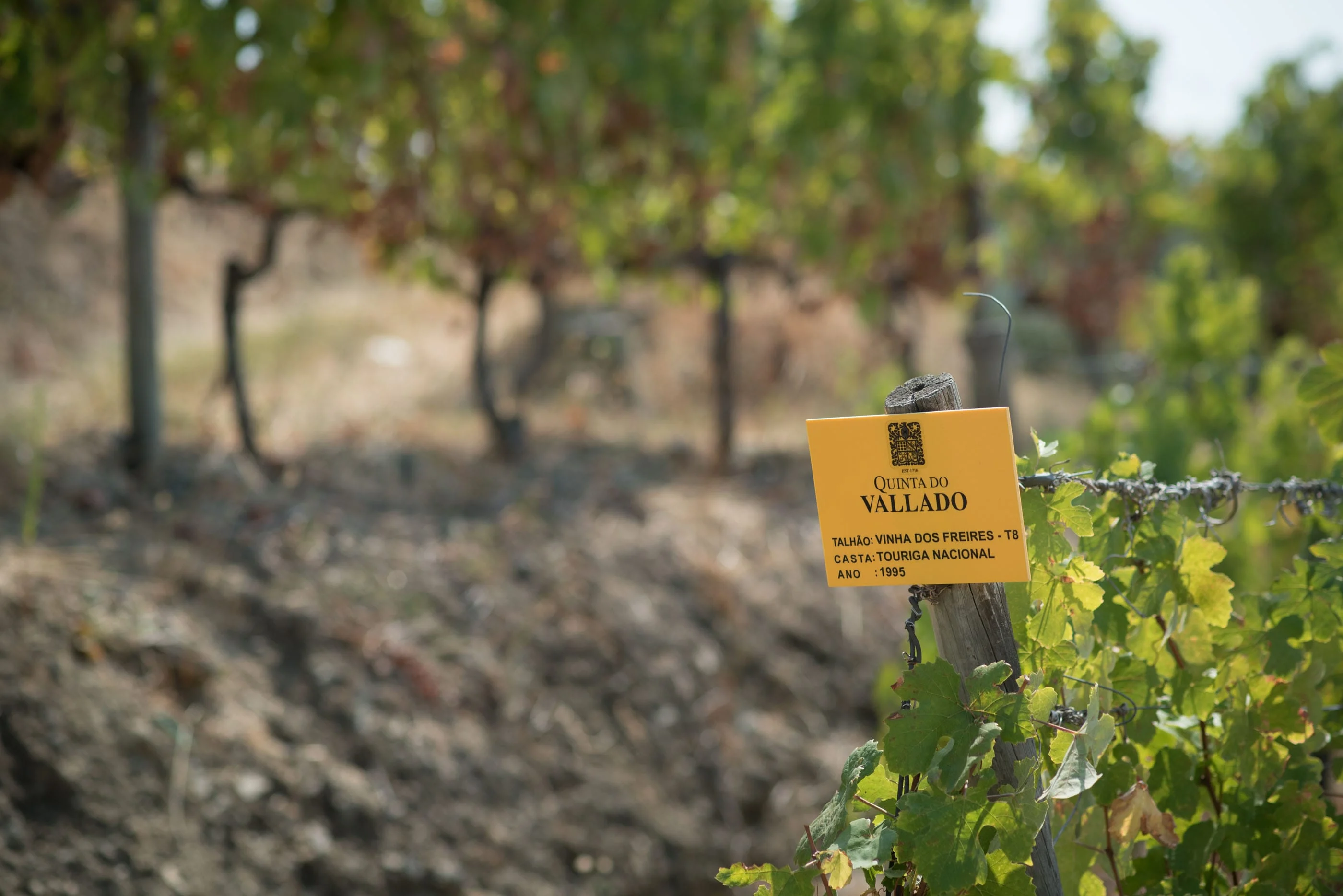 Quinta do Vallado – Prova Vallado