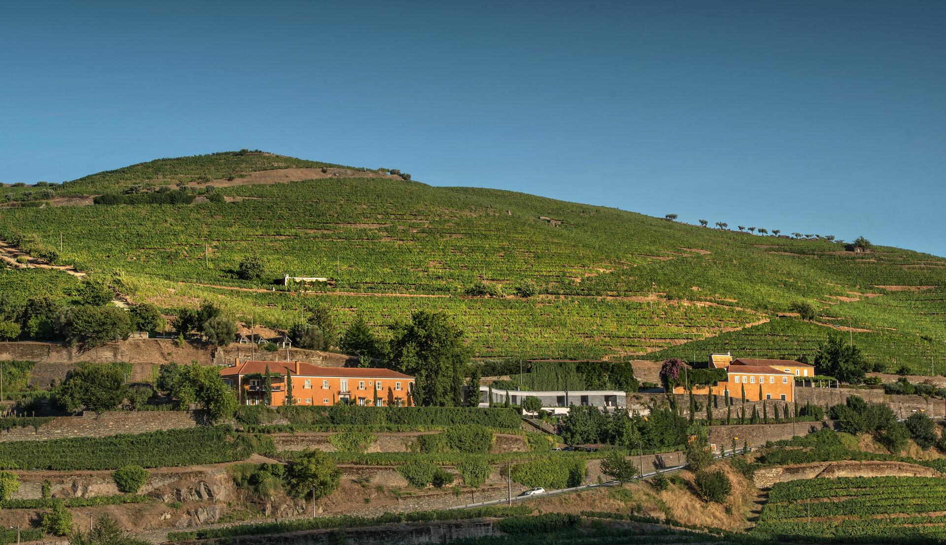 Quinta do Vallado – Prova Vallado