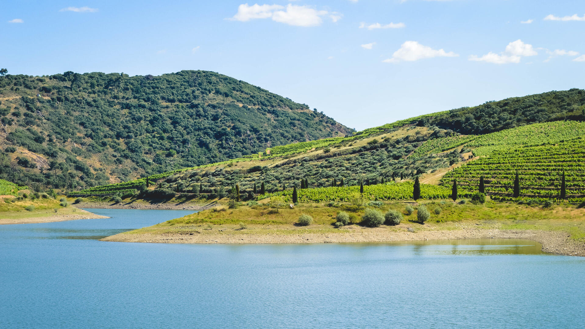 Quinta da Vineadouro – Barco & Pôr-do-sol no Douro