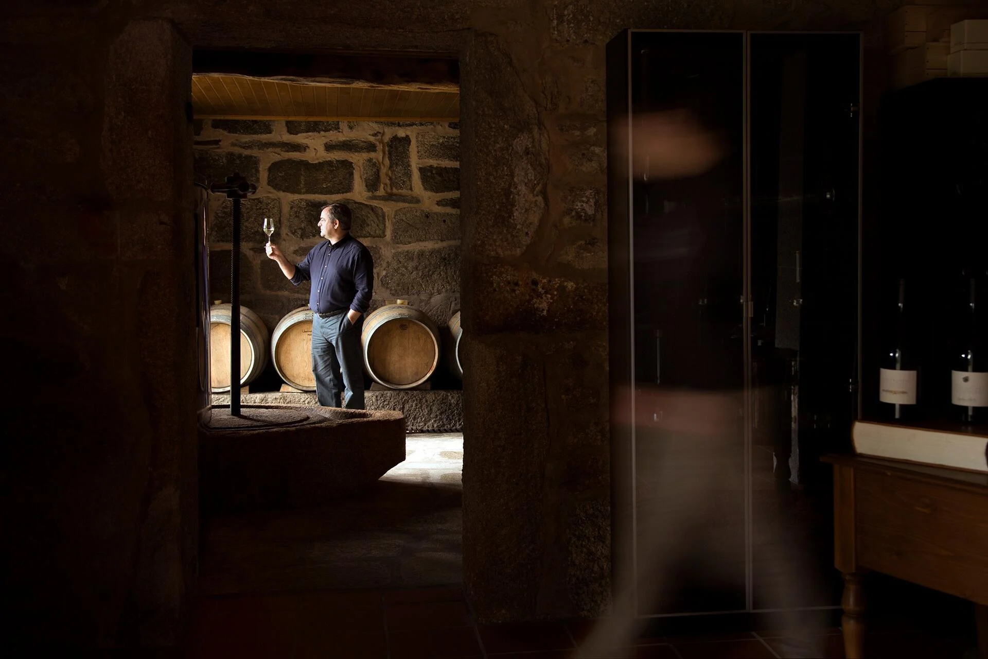 Quinta da Torre – Prova Castas