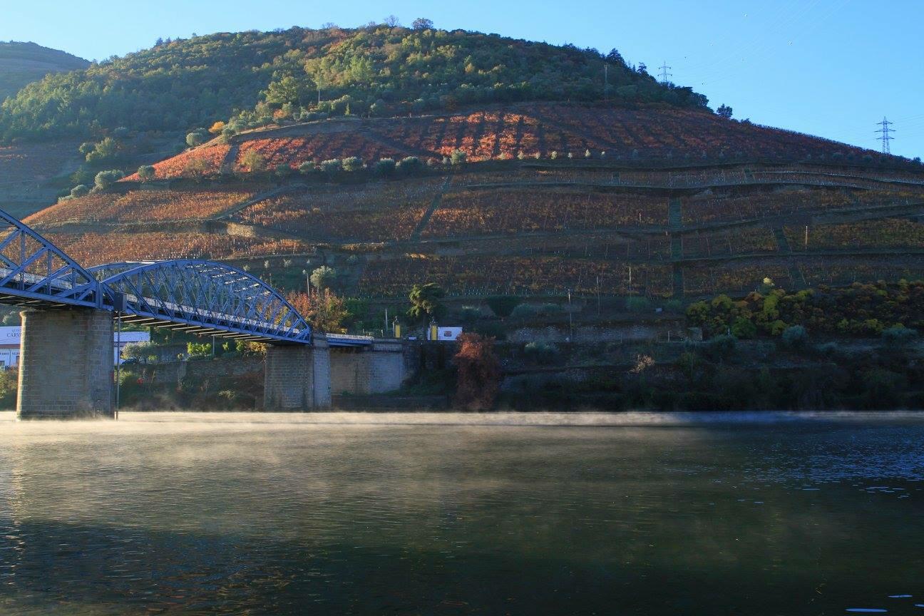 Um Dia no Douro