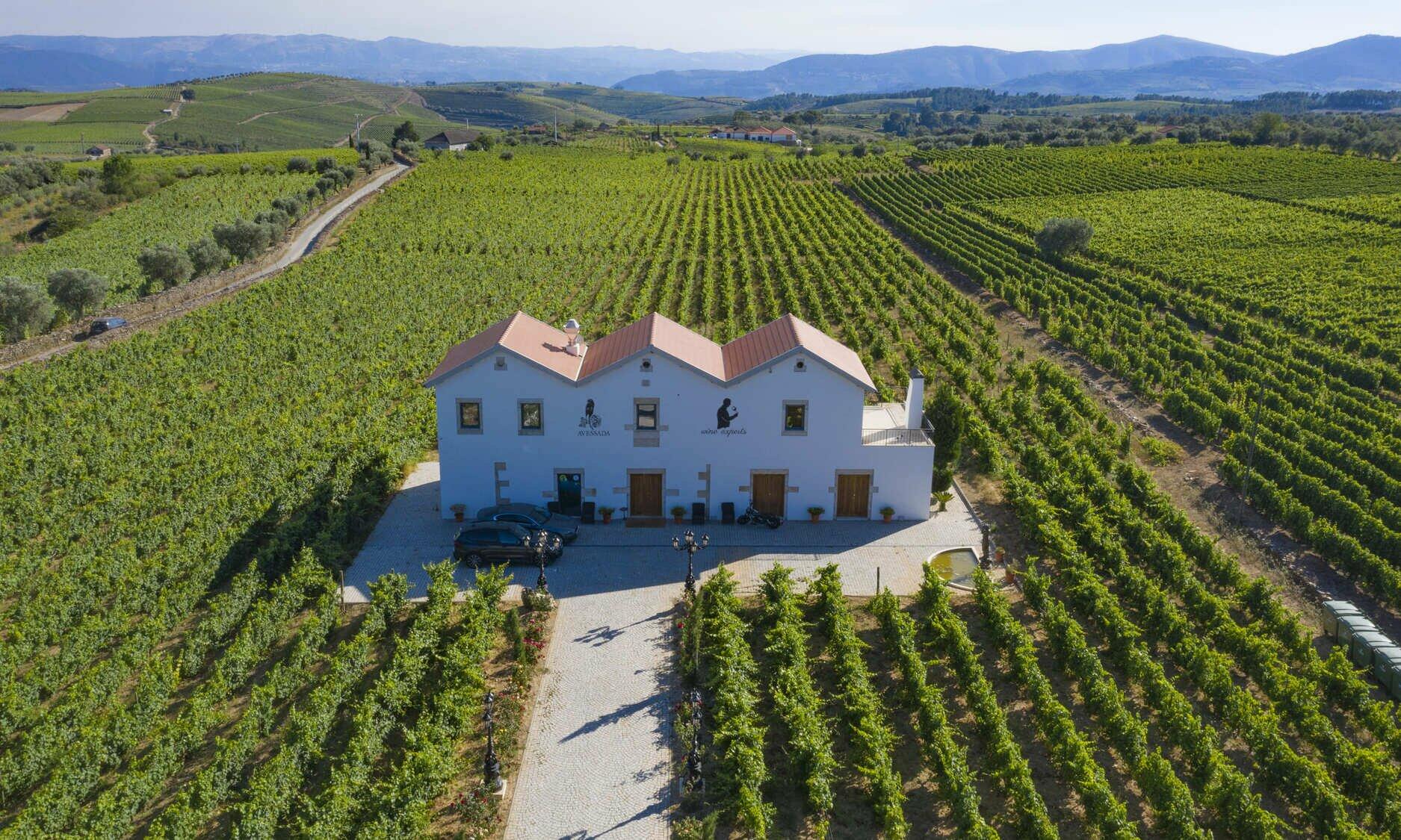 Quinta da Avessada – Visita & Almoço Regional