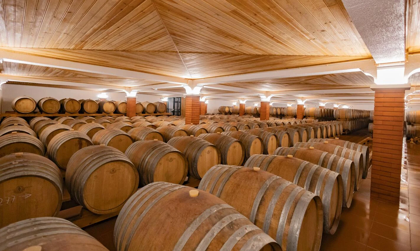 Quinta do Sampayo – Caminhada pelas Vinhas