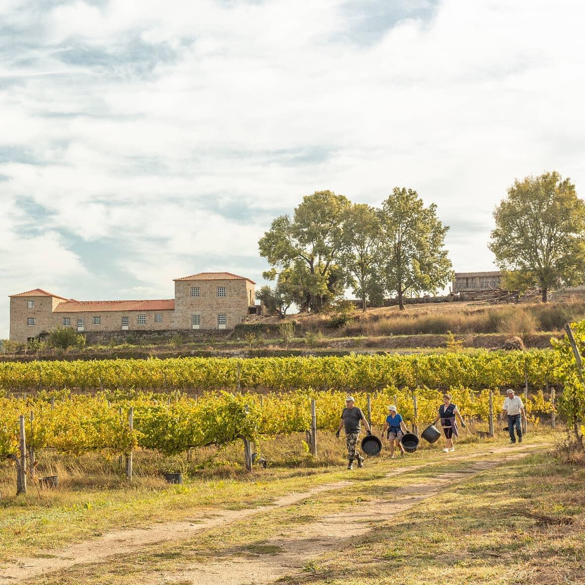 Quinta da Torre – Muros Antigos