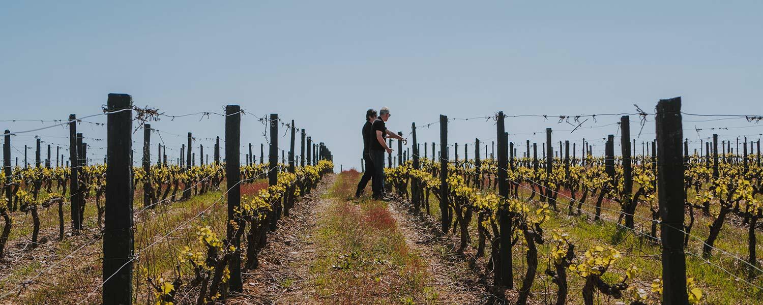 Quanta Terra – Visita & Prova Icónicos