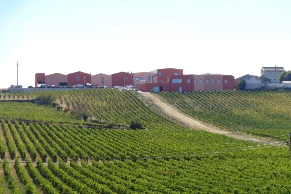 Quevedo – Visita & Prova Discovery