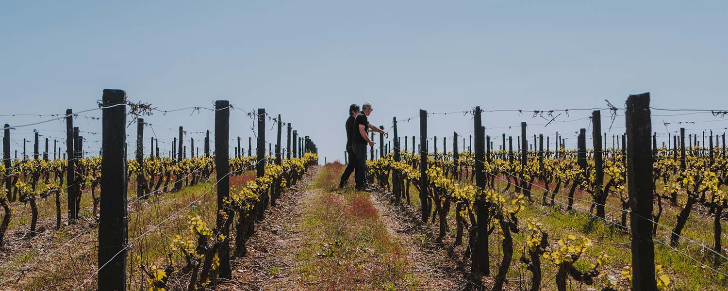 Quanta Terra – Visita & Prova Planalto