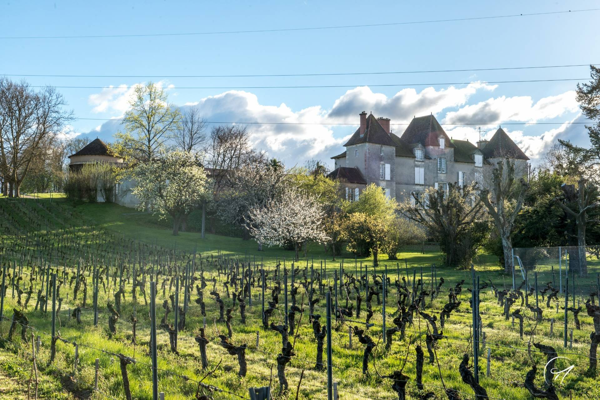 Brunch of the Winemaker