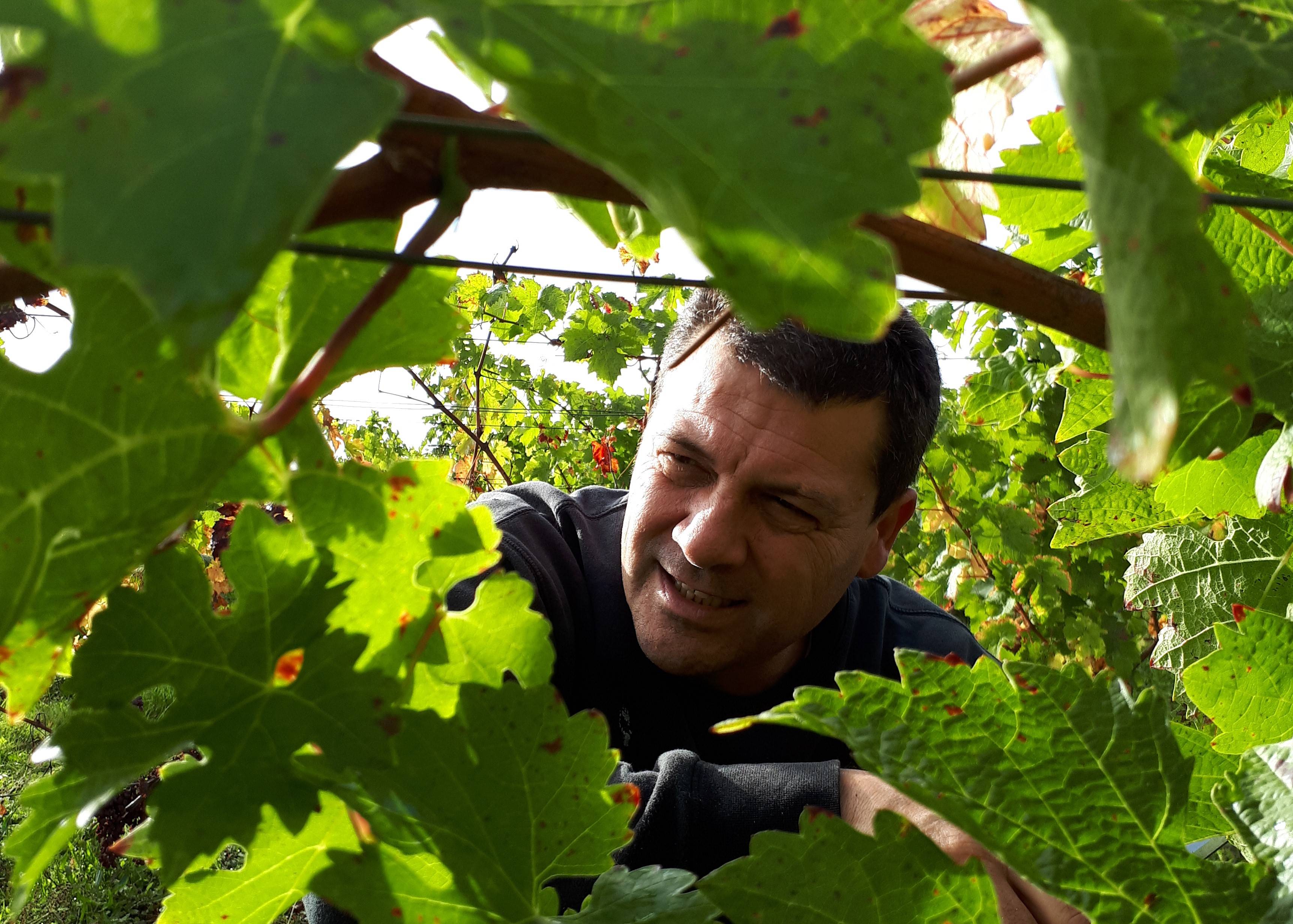 Oenological workshop by awakening the senses