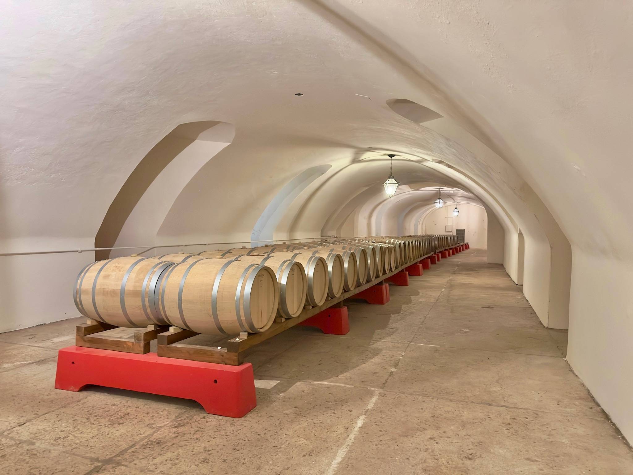 Tasting of 4 Veronese wines in a historic winery