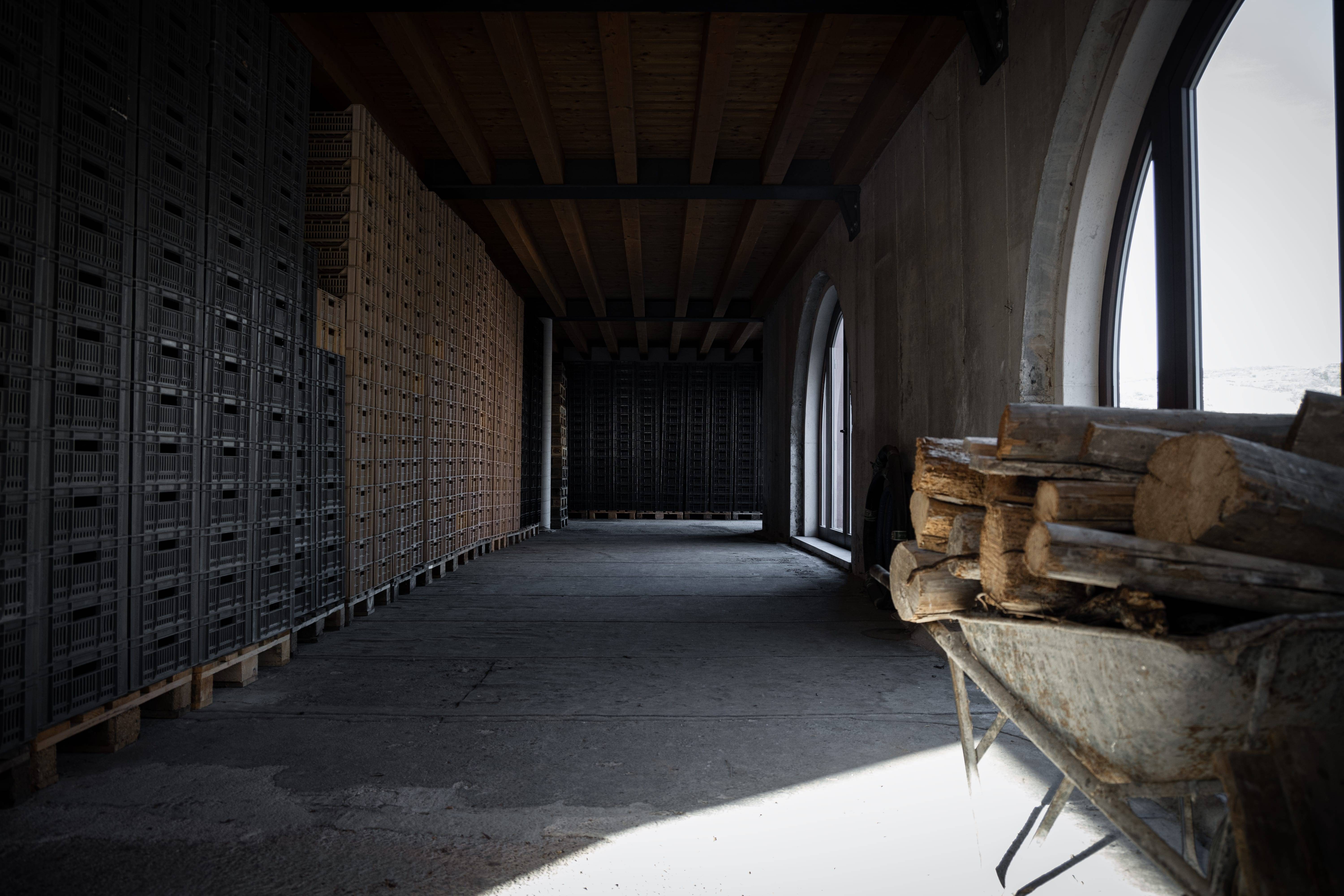 Amarone Experience, meet the Vogadori family