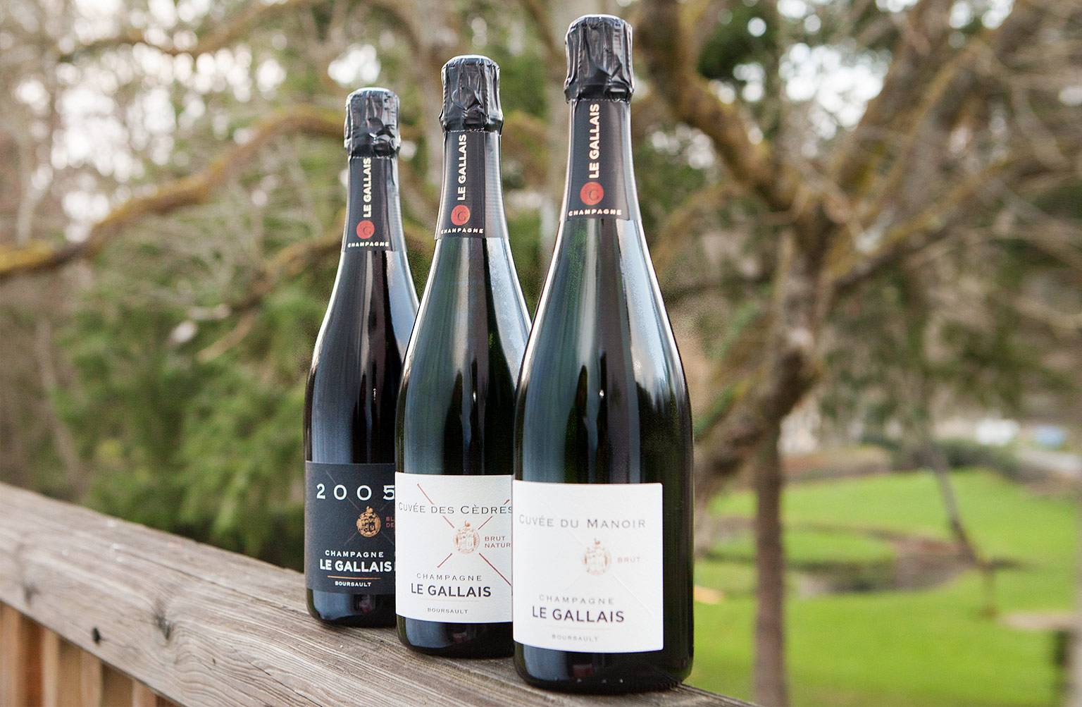 Masterclass Le Gallais