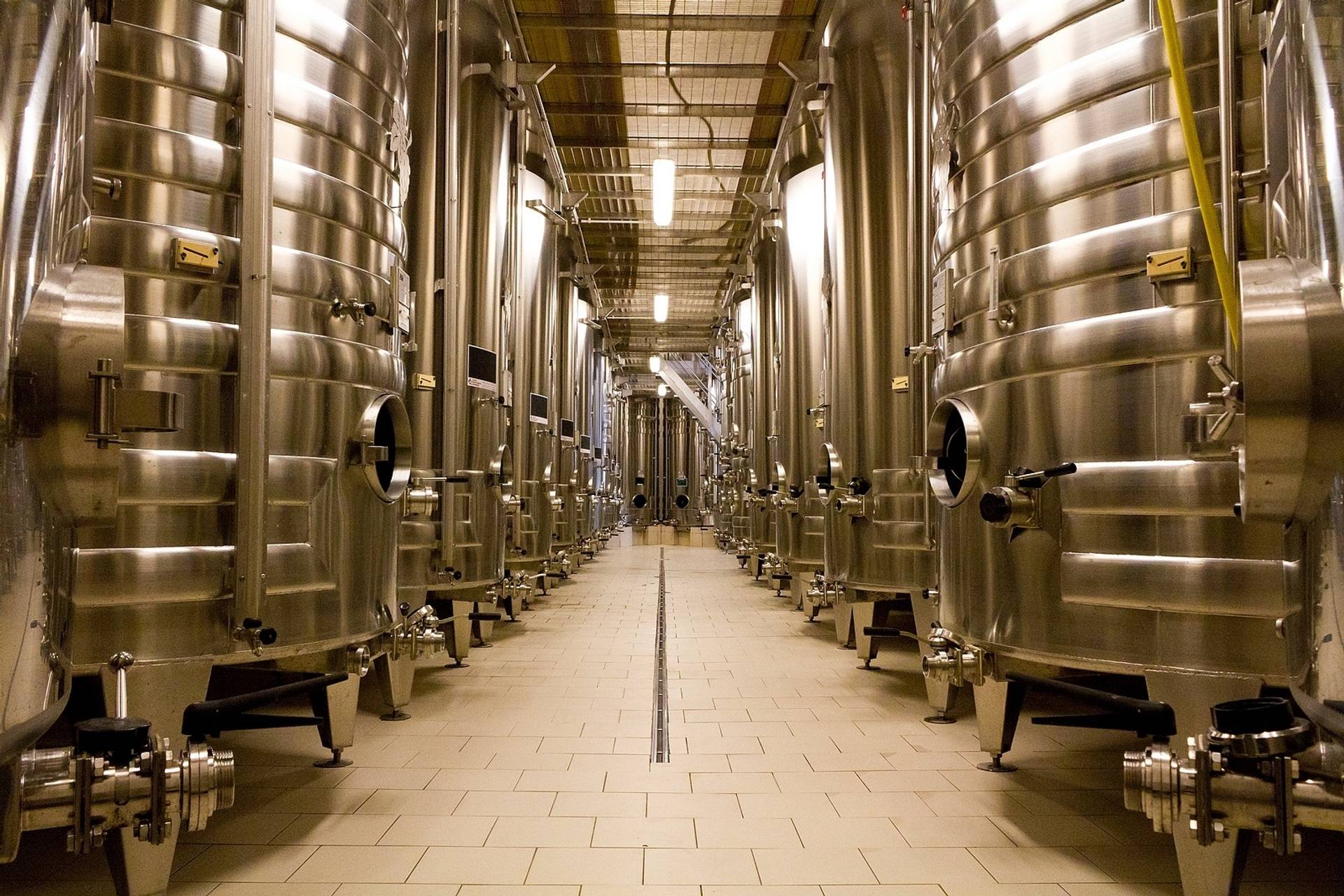 Visit of the cellar and tasting of three champagne