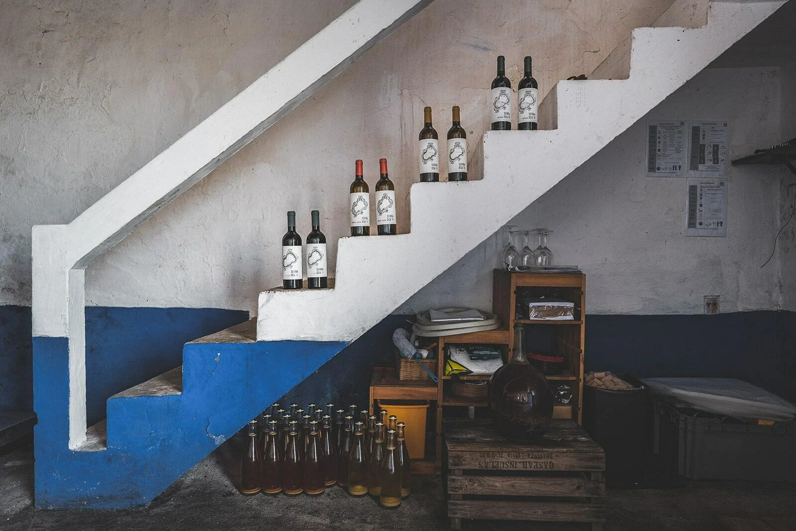 Quinta do Olival da Murta – Visita & Prova