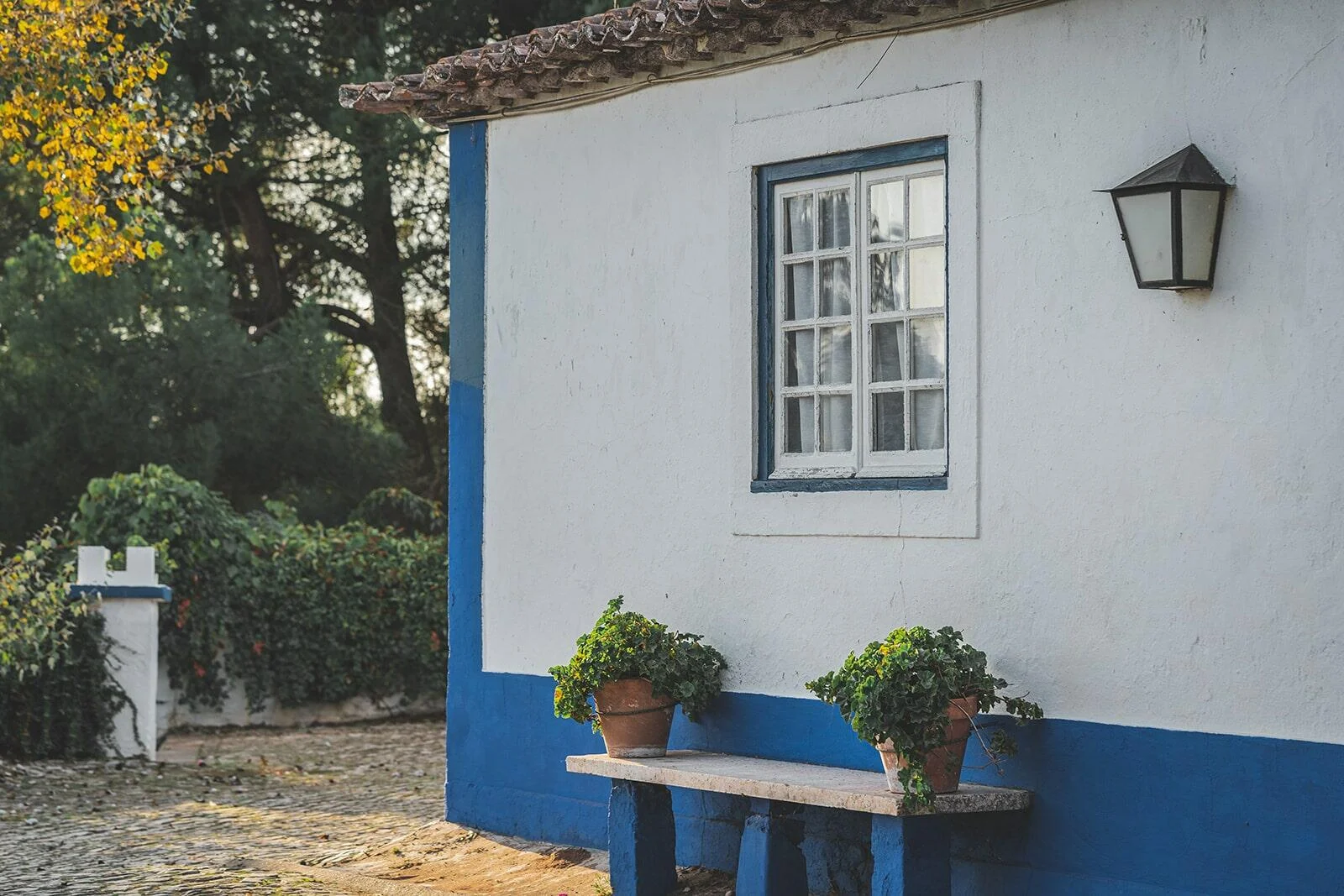 Quinta do Olival da Murta – Visita & Prova