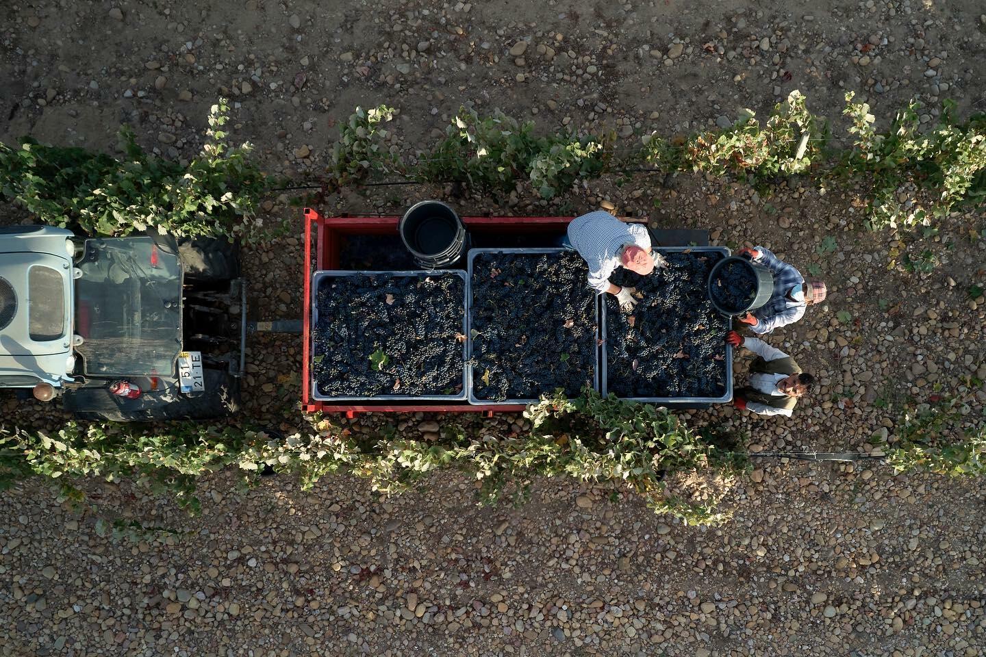 Quinta do Hospital – Visita & Prova Clássica