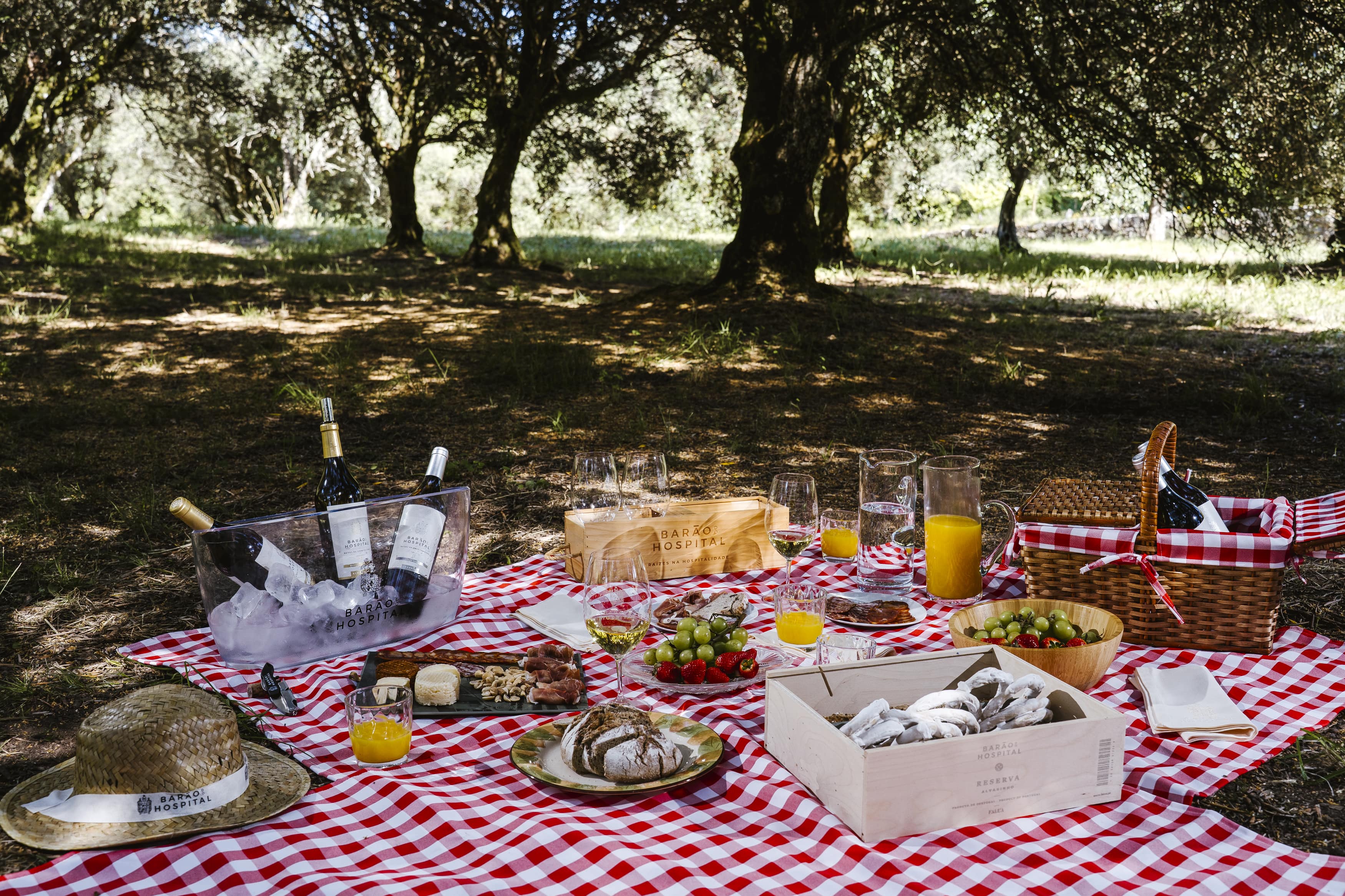 Quinta do Hospital – Visita & Piquenique