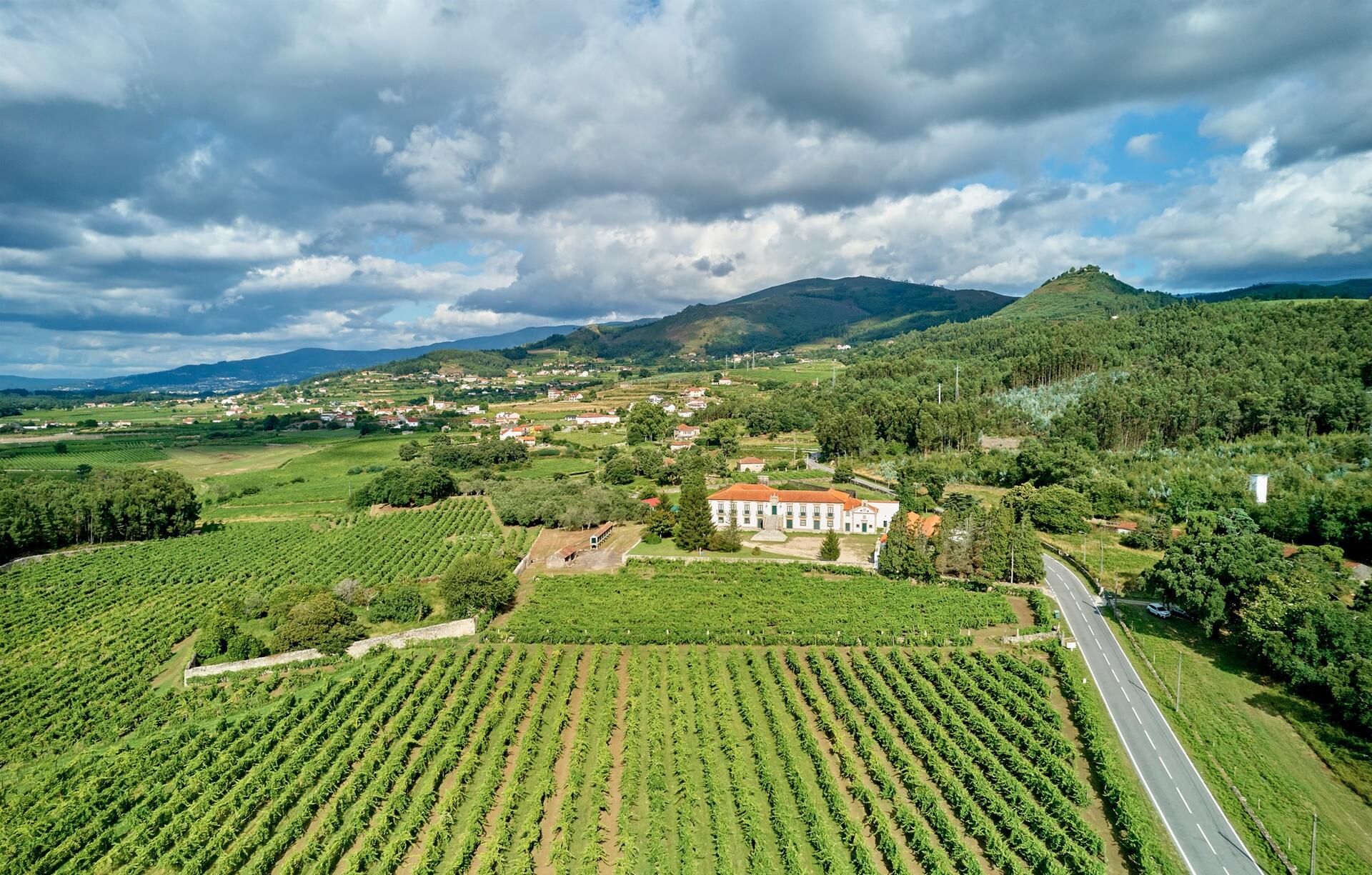 Quinta do Hospital – Visita & Prova Alvarinho