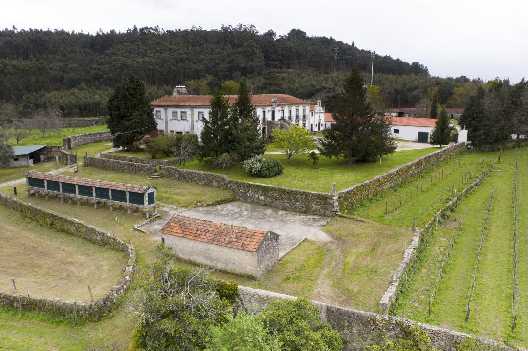 Quinta do Hospital – Visita & Prova Alvarinho