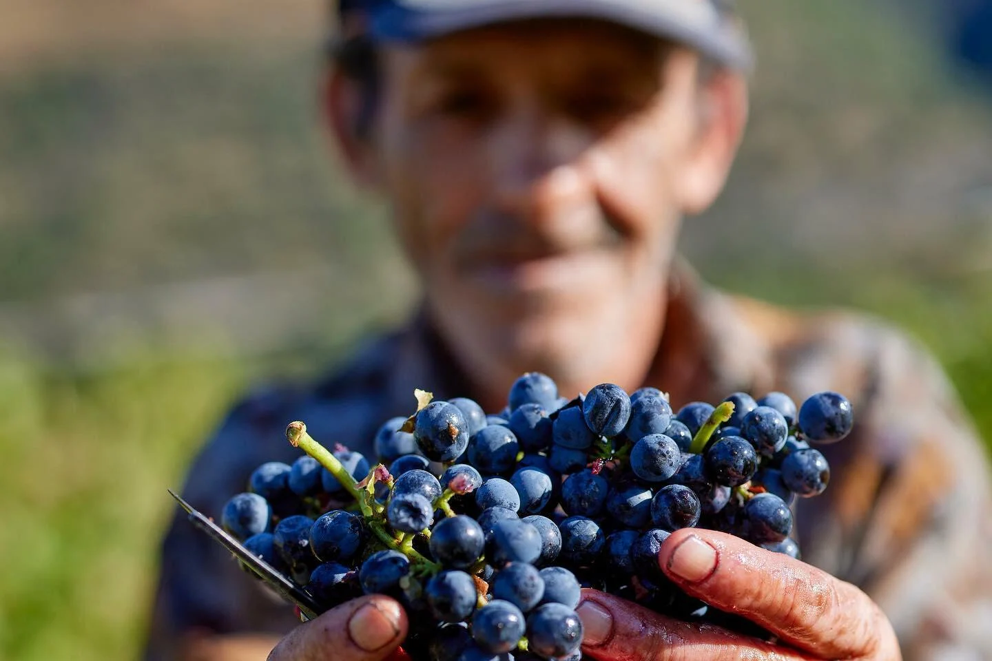 Quinta do Hospital – Visita & Prova de Espumantes
