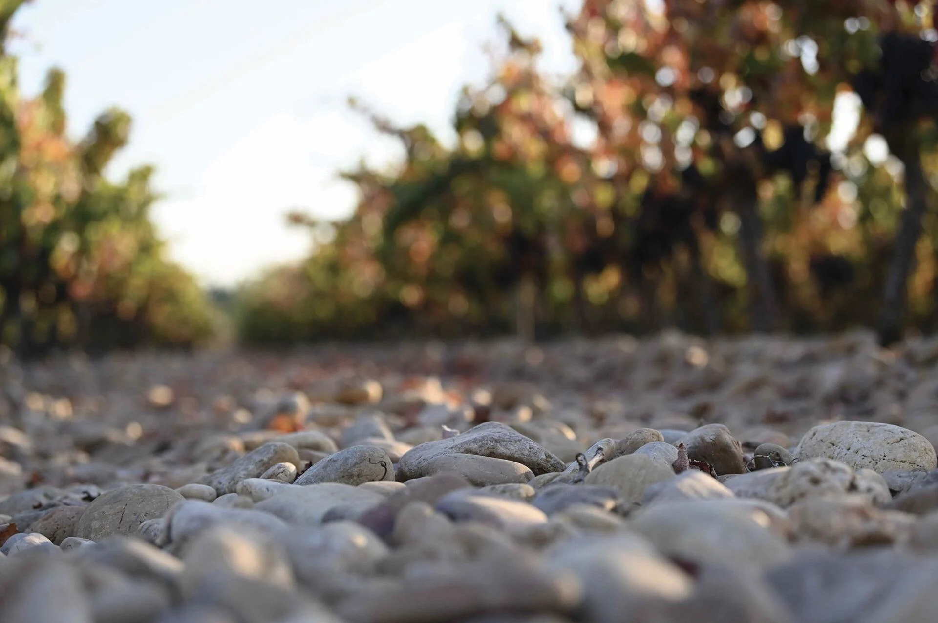 Quinta do Hospital – Visita & Prova de Espumantes