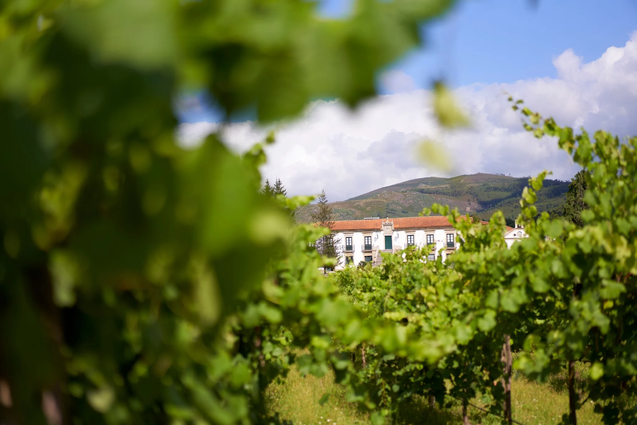 Quinta do Hospital – Visita & Prova de Espumantes
