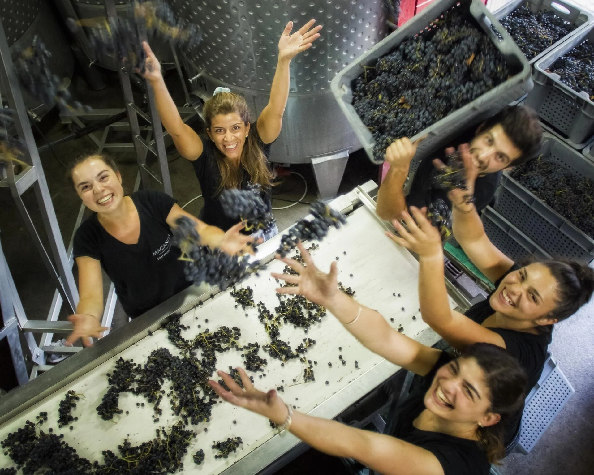 Adega Maçanita – As Castas do Douro