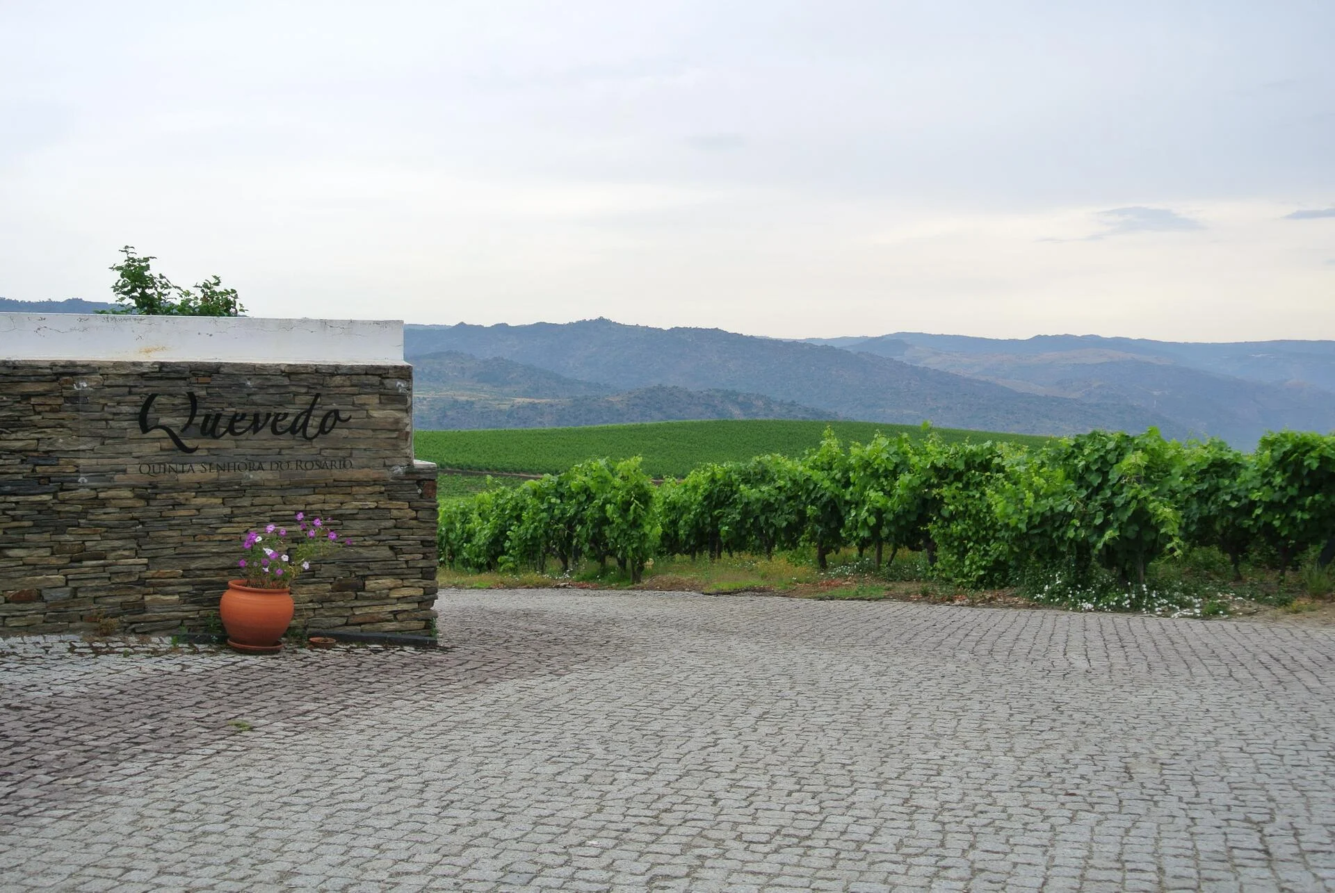 Quevedo – Queijo & Vinho do Porto