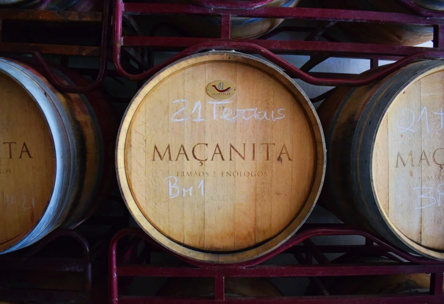 Adega Maçanita – As Castas do Douro