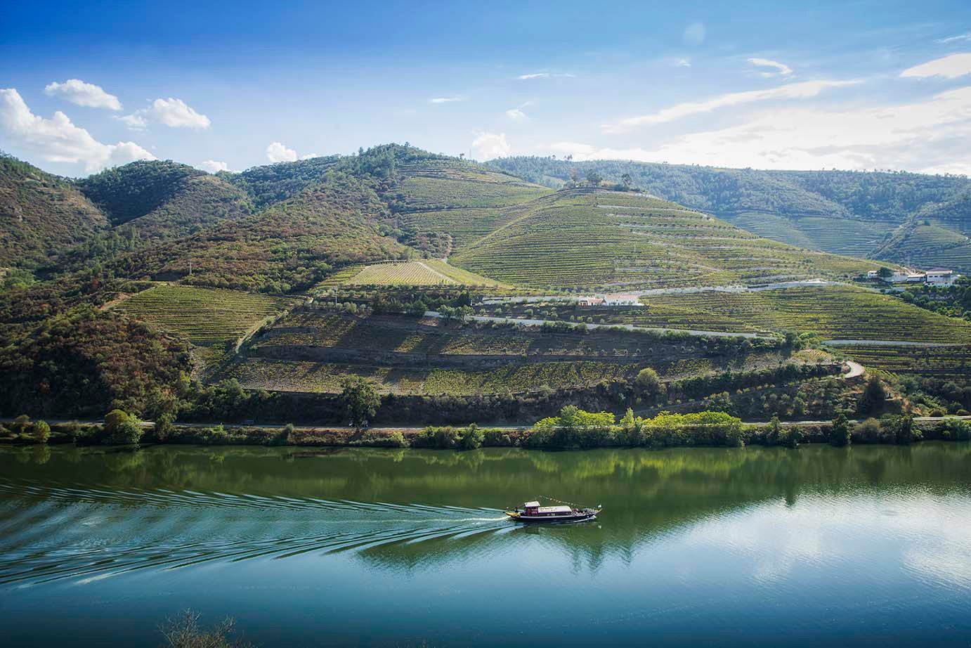 Adega Maçanita – Have You Really Met Douro?